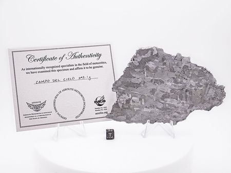 Lot #4574  Campo del Cielo Iron Meteorite Slice - Image 2