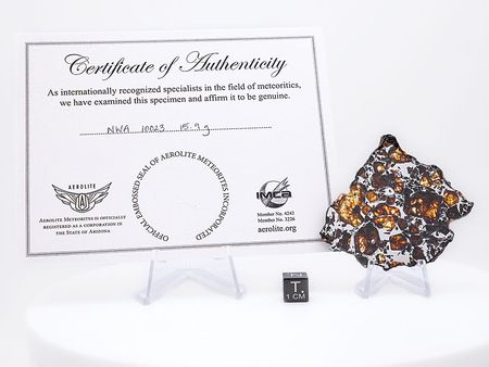 Lot #4584  NWA 10023 Pallasite Meteorite Slice - Image 3