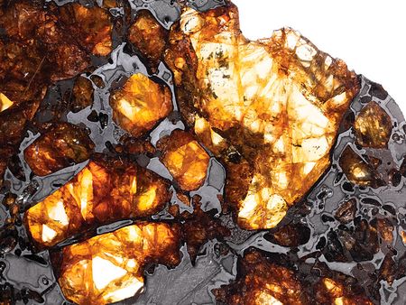 Lot #4584  NWA 10023 Pallasite Meteorite Slice - Image 4