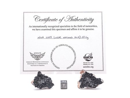 Lot #4580  NWA 11788 Lunar Meteorite Matched Pair - Image 3