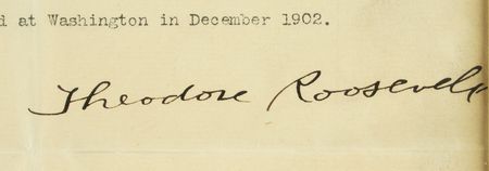 Lot #162 Theodore Roosevelt Typed Letter Signed - Image 2