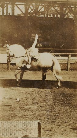 Lot #307 Charles Ringling - Image 3