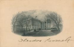 Lot #16 Theodore Roosevelt Vignette
