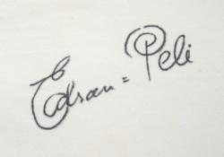 Lot #1168 Soccer: Pele Jersey - Image 3