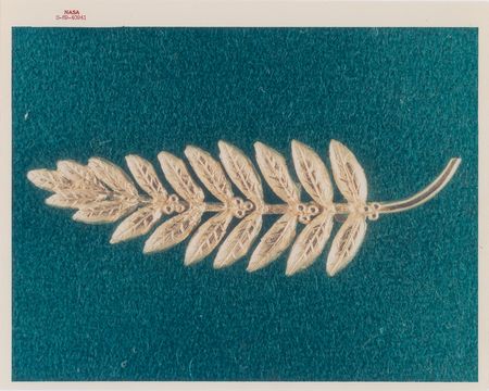 Lot #366 Apollo 11 Original 'Type 1' Photograph - Image 1