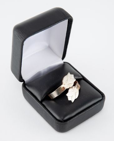 Lot #317 Harry Chapin Ring - Image 2