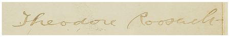Lot #8117 Theodore Roosevelt - Image 3