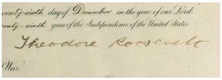 Lot #8118 Theodore Roosevelt - Image 2