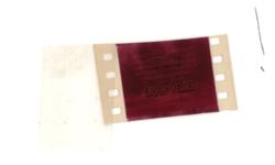 Lot #438 Ray Bradbury: Bradbury on he and Orson Welles not receiving film credits for King of Kings - Image 2