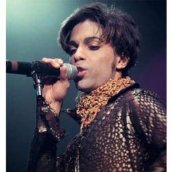 Lot #696 Prince's Personally-Worn Jam of the Year World Tour Snakeskin Shirt: Prince?s personally-owned and -worn snakeskin pattern collared shirt from the Jam of the Year World Tour - Image 5