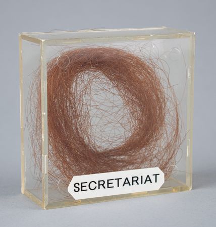 Lot #9192  Secretariat - Image 1