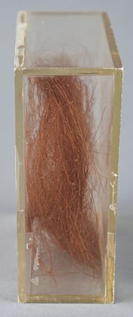 Lot #9192  Secretariat - Image 3