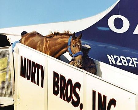 Lot #9192  Secretariat - Image 4