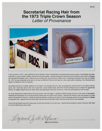 Lot #9192  Secretariat - Image 7