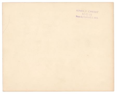 Lot #573 Groucho and Harpo Marx: Bull captures the Marx Brothers?