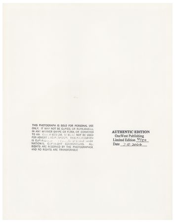 Lot #727 Marilyn Monroe - Image 2