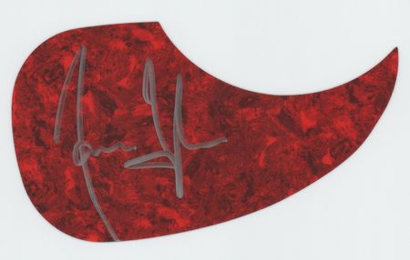 Lot #437 James Taylor Pickguards - Image 1