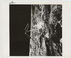 Lot #3111  Apollo Program Original 'Type 1' Photographs (3) - Image 3