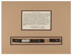 Lot #3244 Charles Conrad's Apollo 12 Flown Lunar Module Stowage Strap - Image 1