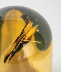 Lot #3542  Skylab - Image 4