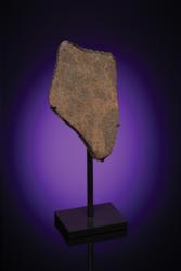 Lot #3720  NWA 11592 Pairing Vesta Asteroid Slice