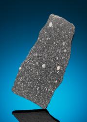 Lot #3723  NWA 12698 CR2 Meteorite Slice