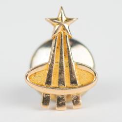 Lot #3379 Al Worden's Gold Astronaut Pin