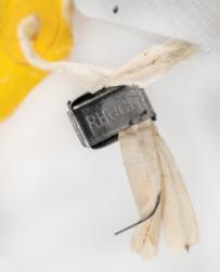 Lot #3369  Apollo 15 Flown Jim Irwin IVA Tether - Image 7