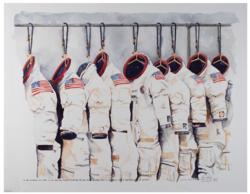 Lot #3349 Al Worden's Apollo Space Suit Print