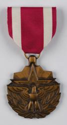 Lot #3403 Al Worden's Meritorious Service Award