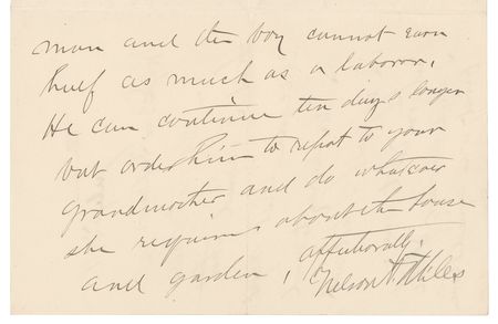 Lot #254 Nelson A. Miles - Image 3