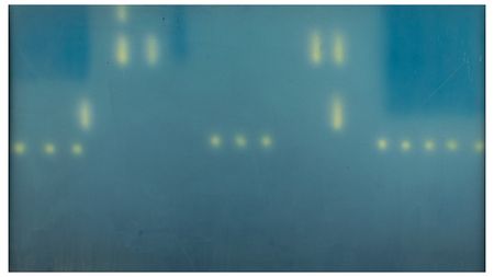 Lot #779 Nighttime city outline production background from Mr. Bug Goes to Town - Image 1