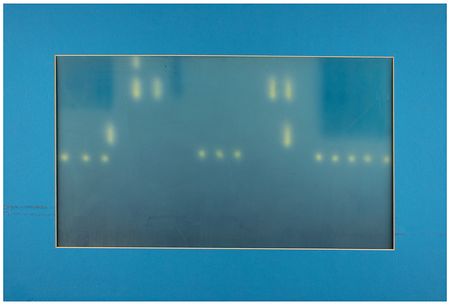 Lot #779 Nighttime city outline production background from Mr. Bug Goes to Town - Image 3