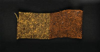 Lot #675 Elvis Presley Worn Shirt Fabric from Fun in Acapulco - Image 2