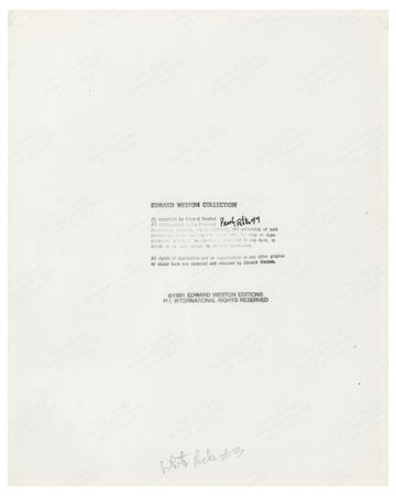 Lot #990 Jean Harlow (2) Original Photographs - Image 3