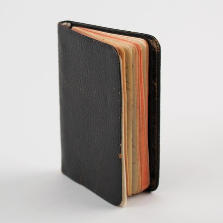 Lot #789 Zane Grey's Handwritten Diary - Image 1