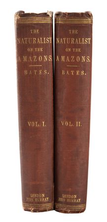 Lot #783 Henry Walter Bates: 1st Edition The Naturalist on the River Amazons Book - Image 1
