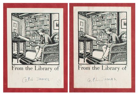 Lot #783 Henry Walter Bates: 1st Edition The Naturalist on the River Amazons Book - Image 3