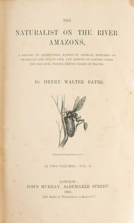 Lot #783 Henry Walter Bates: 1st Edition The Naturalist on the River Amazons Book - Image 4