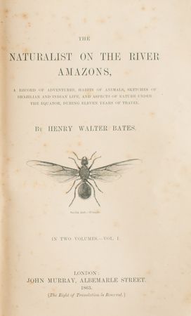 Lot #783 Henry Walter Bates: 1st Edition The Naturalist on the River Amazons Book - Image 5