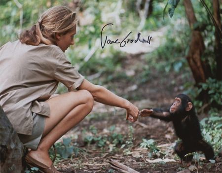 Lot #387 Jane Goodall Signed Photograph