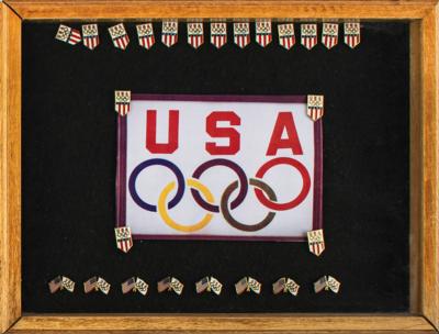 Lot #6181 Team USA Olympic Pin Collection
