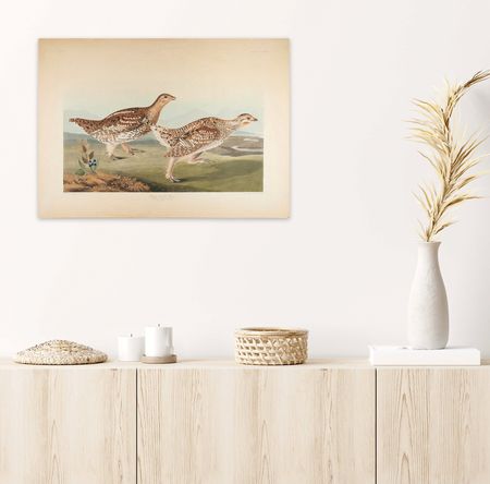 Lot #475 Audubon: Sharp-Tailed Grous Lithograph - Image 3