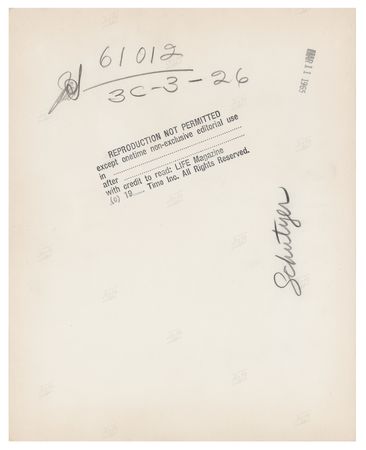 Lot #113 John F. Kennedy and Richard Nixon Original Photograph - Image 2