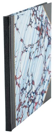 Lot #82 Gerald Ford Signed Book - Image 3