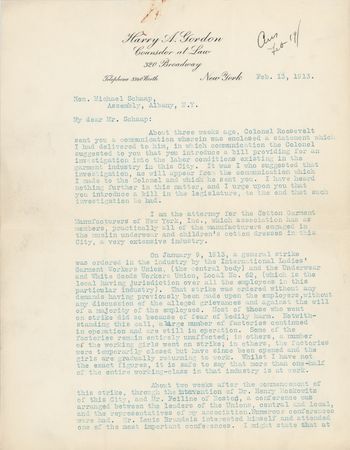 Lot #33 Theodore Roosevelt Typed Letter Signed - Image 14