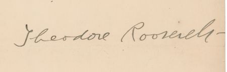 Lot #33 Theodore Roosevelt Typed Letter Signed - Image 2