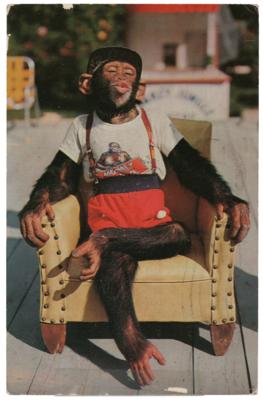 Lot #8044 Malcolm X Archive of Letters, Handbills, and Photographs - Image 2