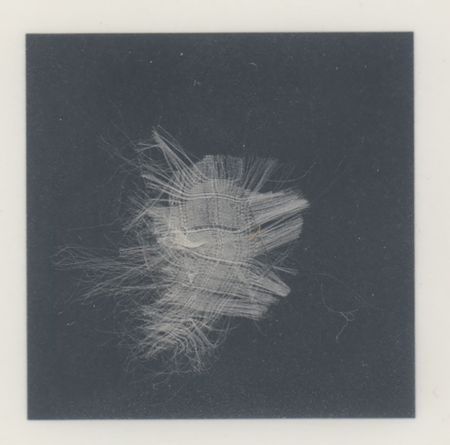 Lot #3306 Apollo 13 Flown Parachute Material Signed by Lovell and Haise [Attested to as Flown by Ken Havekotte] - Image 3