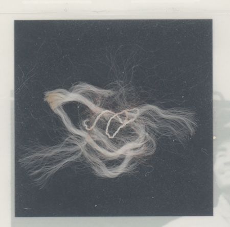 Lot #3306 Apollo 13 Flown Parachute Material Signed by Lovell and Haise [Attested to as Flown by Ken Havekotte] - Image 4